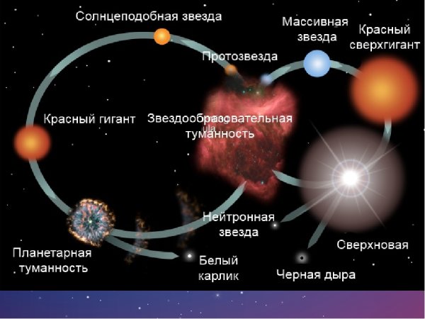 Жизненный цикл солнца кратко