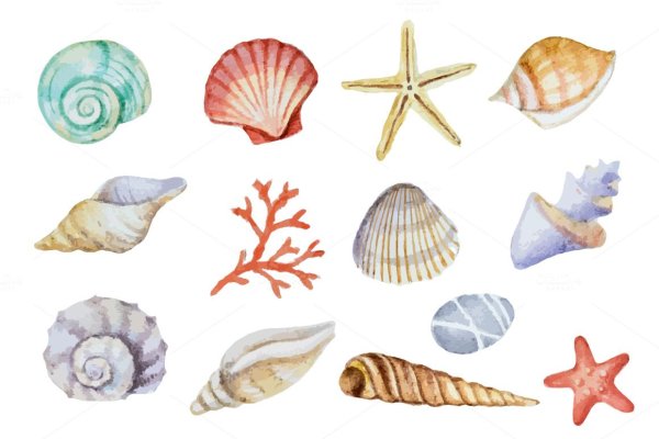 Наклейки ракушки