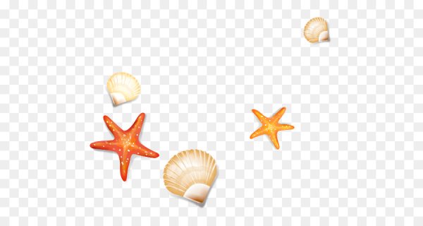 Ракушки россыпью