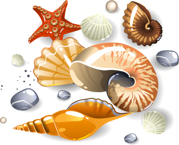 Ракушка для детей