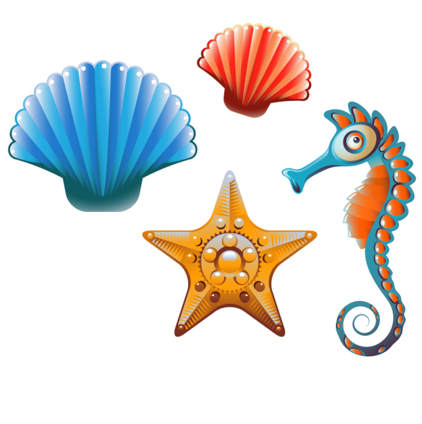 Ракушка для детей