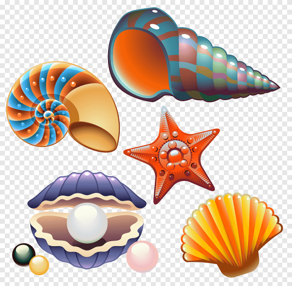 Ракушка для детей