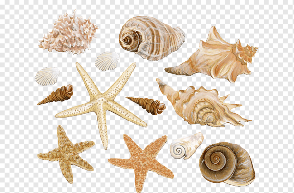 Наклейки морская тематика