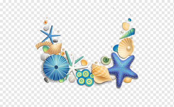 Морское на прозрачном фоне