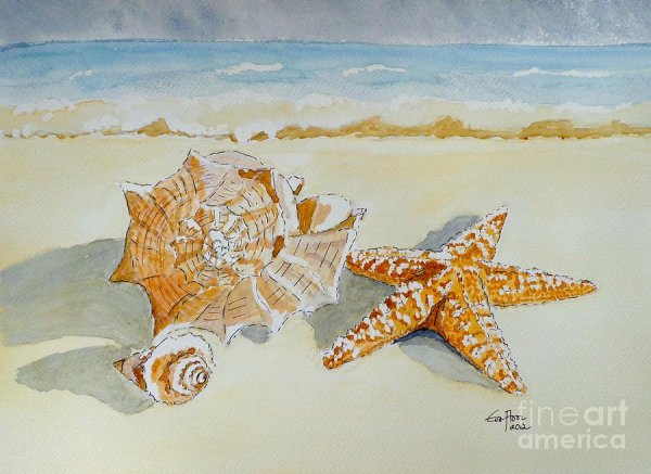 Морская звезда акварель