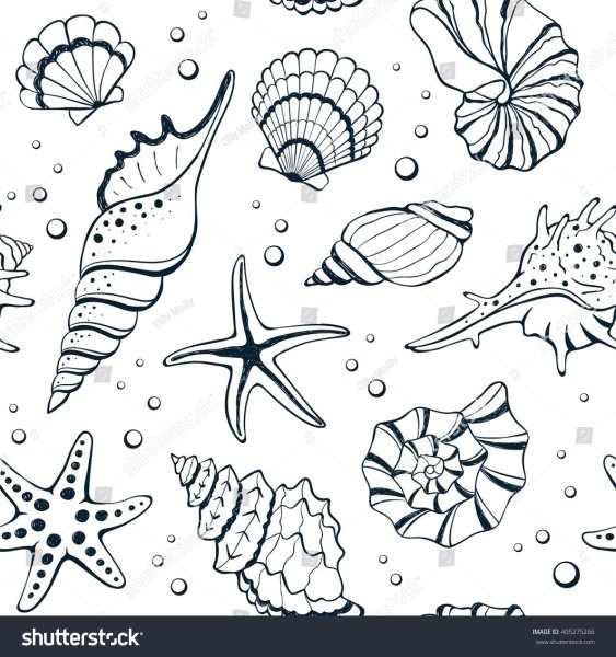 Раскраски ракушки морские