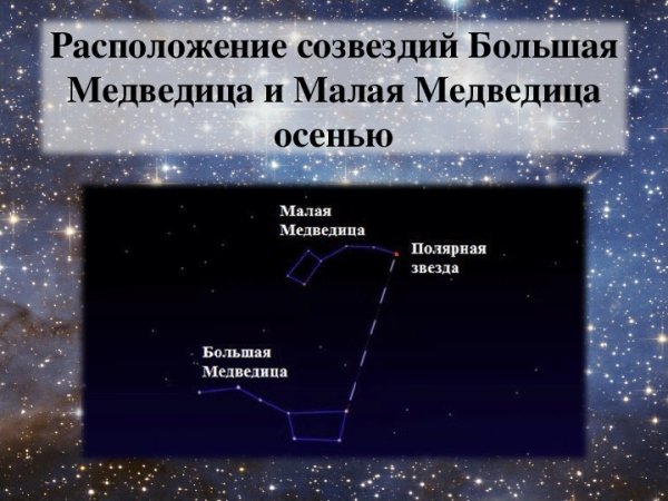 Созвездиемаоой медведицы схема