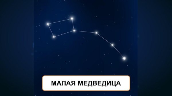 Созвездие большой медведицы и малой медведицы
