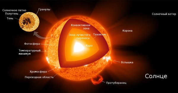 Диаграмма внутреннего строения солнца.