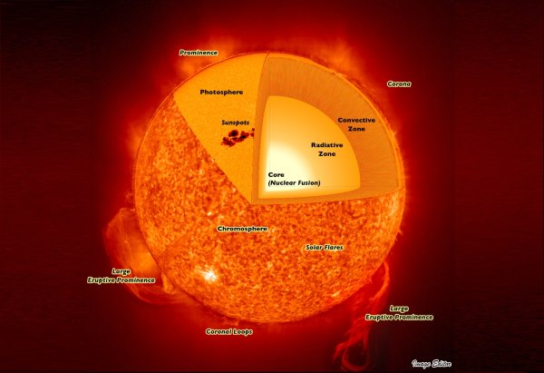 Внутреннее строение солнца состоит