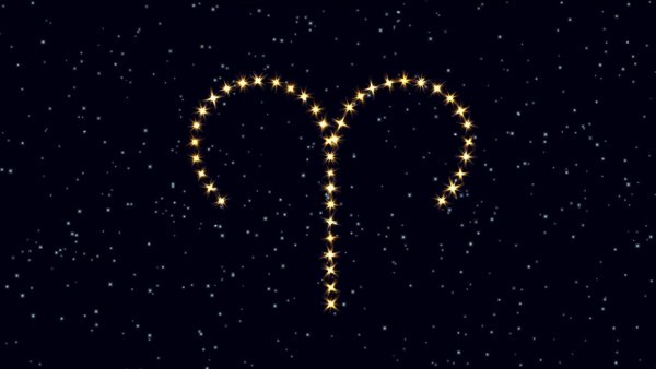 Созвездие Телец гевелий