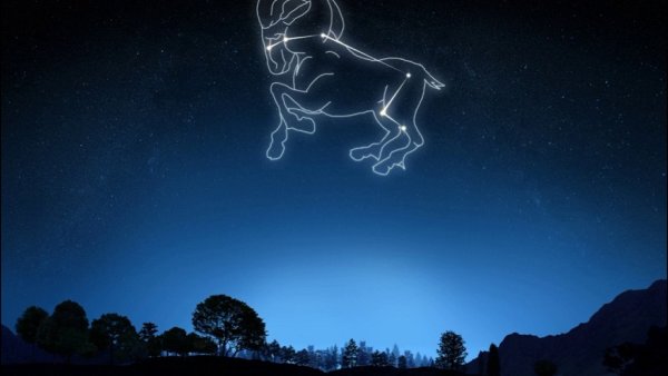 Созвездие овна