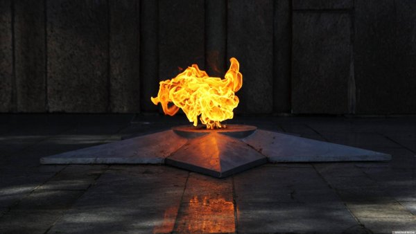 Звезда вечный огонь