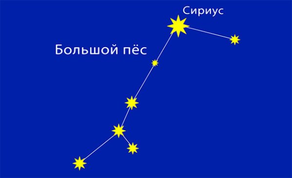Созвездие большой пес для детей