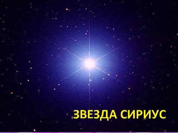 Звезда каникула Сириус