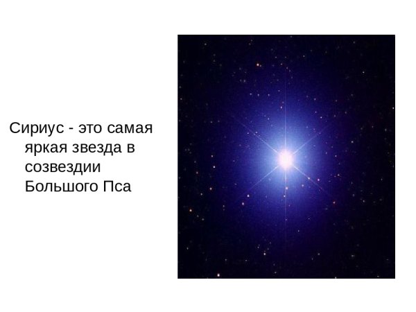 Самая яркая звезда в созвездии большого пса