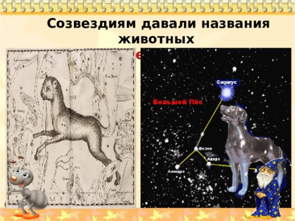 Созвездие большой пес окружающий мир 2 класс