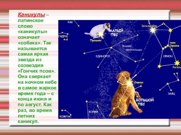 Каникулы звезда созвездия большого пса
