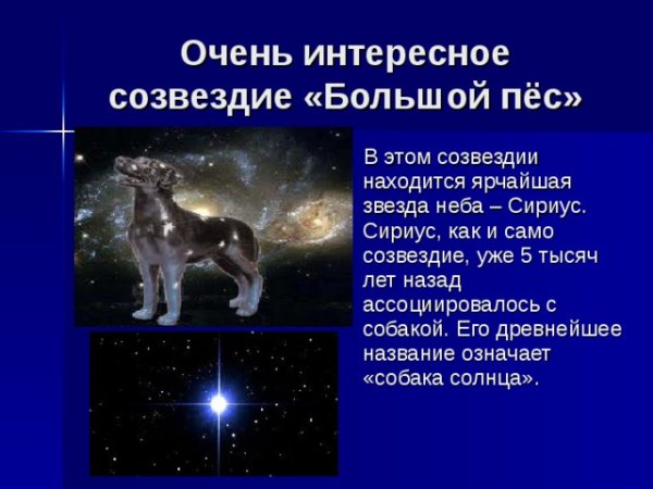 Созвездие большой пес окружающий мир 2 класс