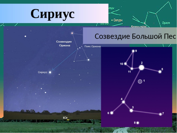 Расположение звезд Созвездие Сириус