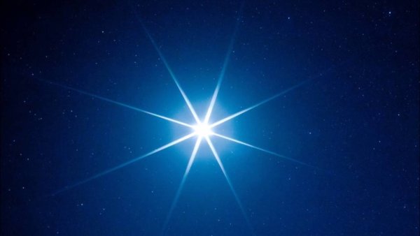 Canis Major Созвездие
