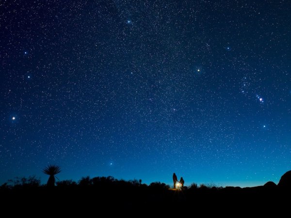 Большая Медведица Созвездие