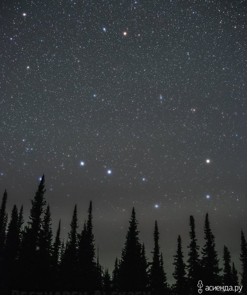 Яркая звезда