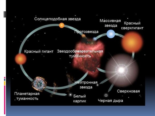 Каков жизненный цикл звезды гиганта