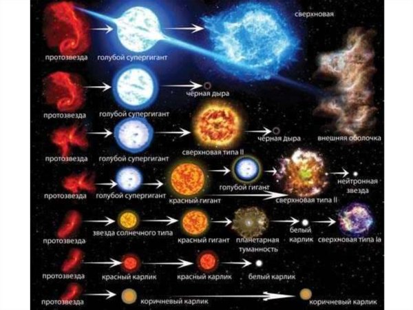 Строение сверхновой звезды