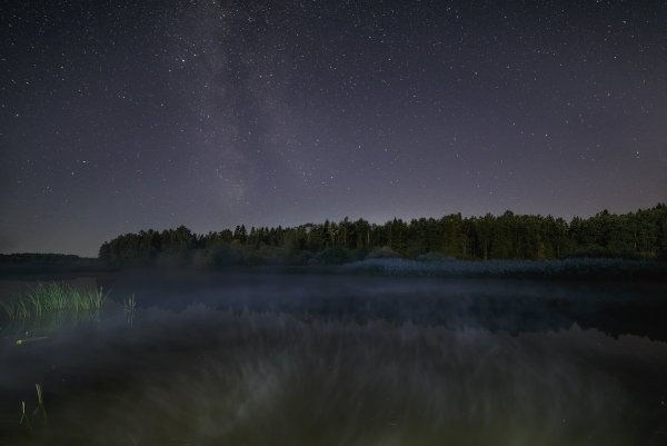 Светлая ночь