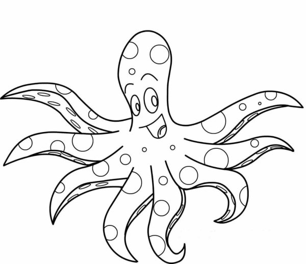 Осьминог картинка для детей раскраска