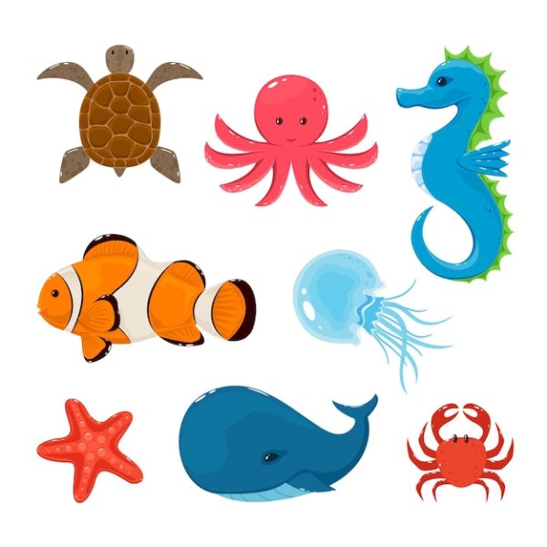 Рыба Осьминоги морские коньки