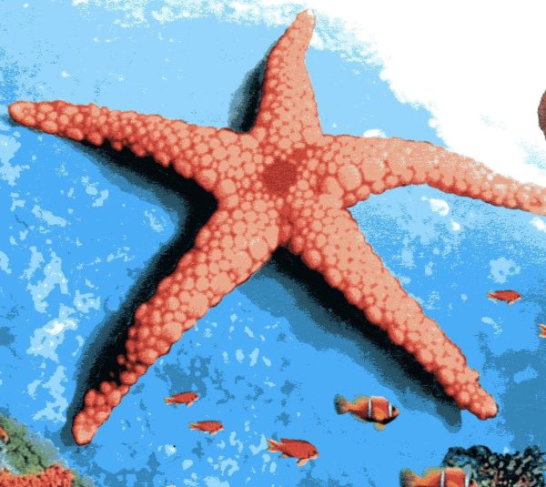 Щупальца морской звезды