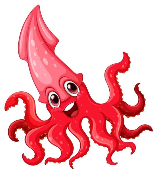 Кальмар мультяшка