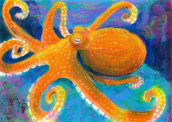 Оранжевый осьминог