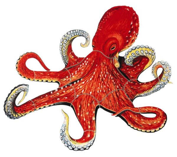 Морские жители