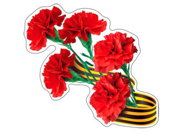 Красные гвоздики с лентой