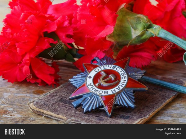 Георгиевская лента с гвоздикой