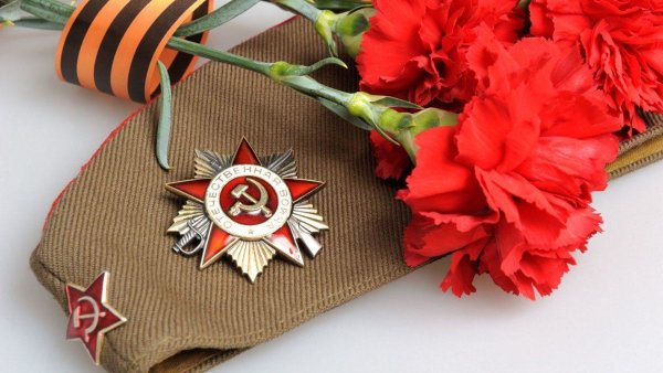 Красные гвоздики с георгиевской лентой