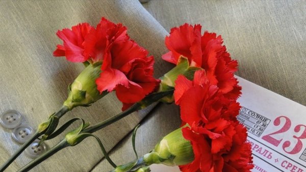 Гвоздики с георгиевской лентой