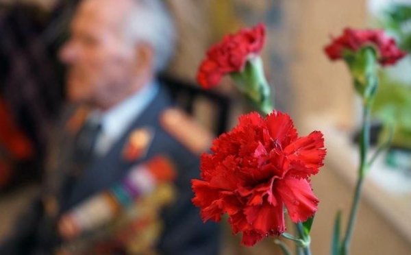 Георгиевская лента с гвоздикой и звездой