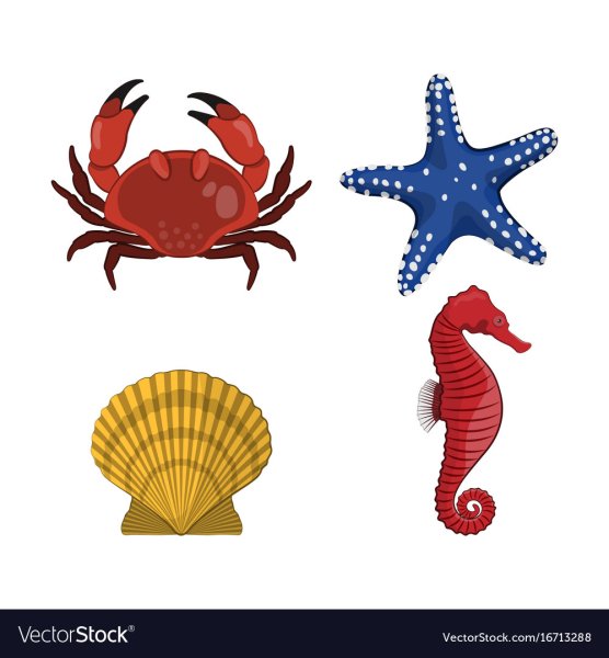 Морские фигуры на белом фоне