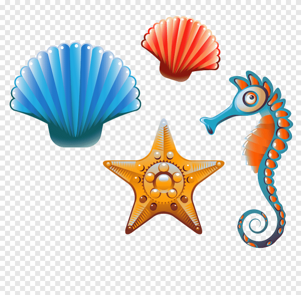 Морские звезды барьерного рифа