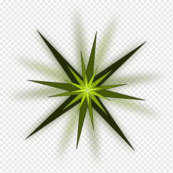 Звезды в ряд