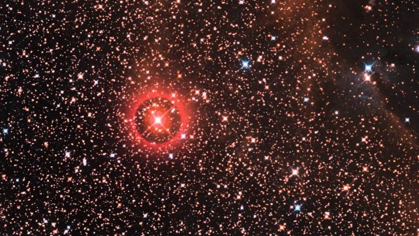 Canis Majoris звезда