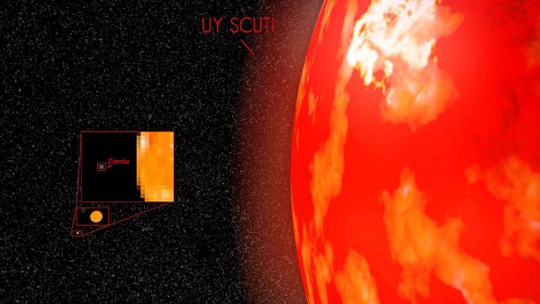 Самая большая звезда