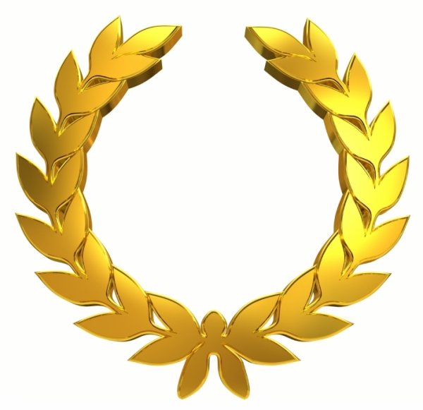 Веточка на 23 февраля