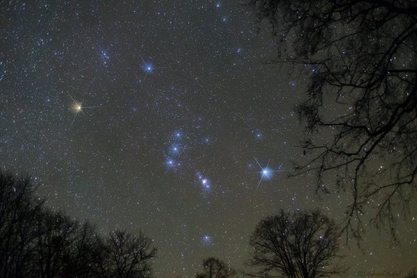 Звездное небо осенью большая Медведица