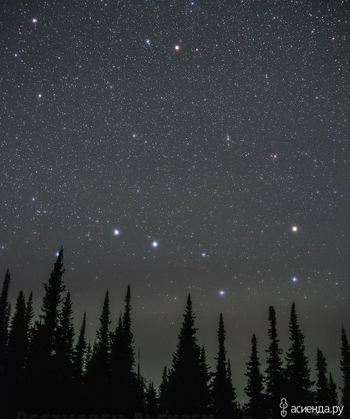 Большая Медведица Созвездие