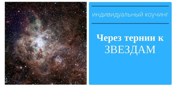 Через тернии к звездам цитата